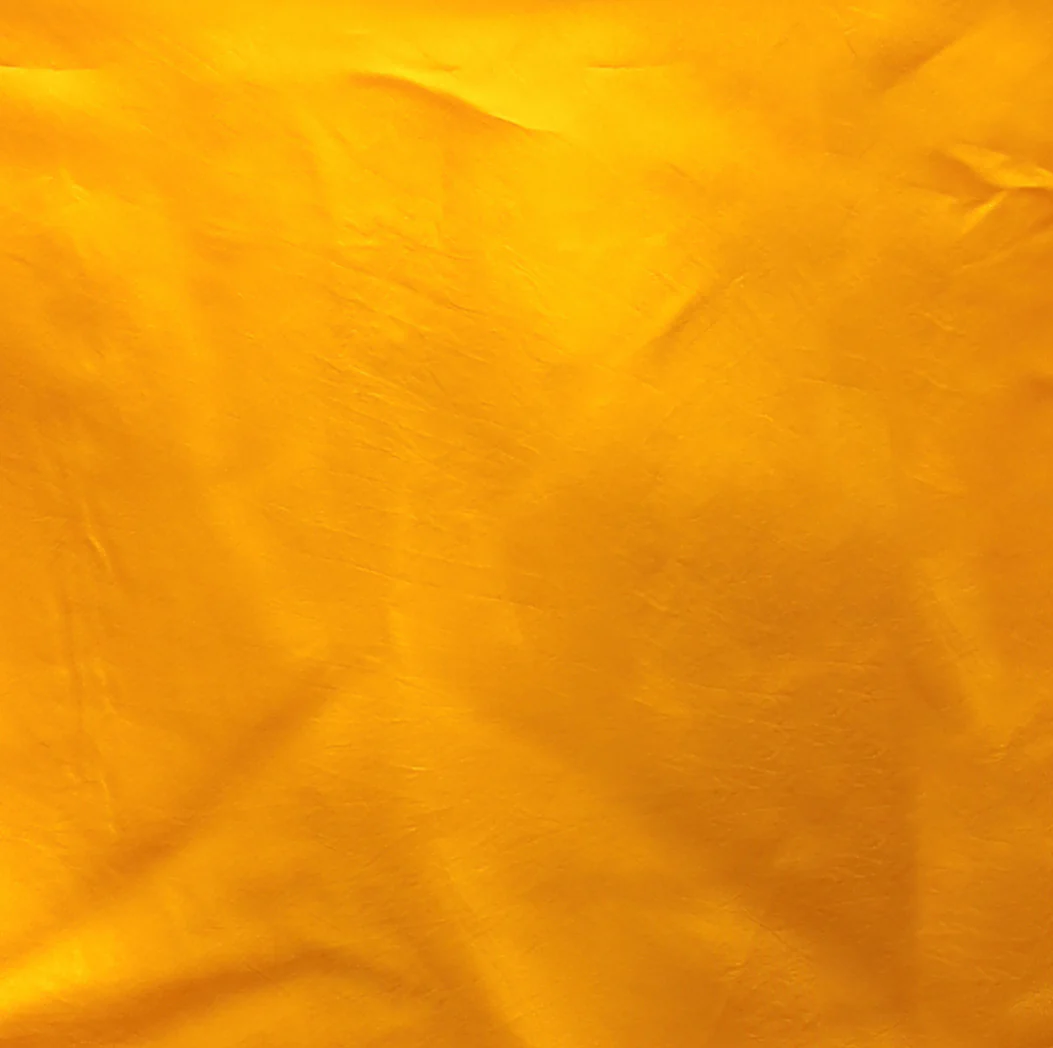 Leheriya Chiffon Saree with Zari border - Image 20