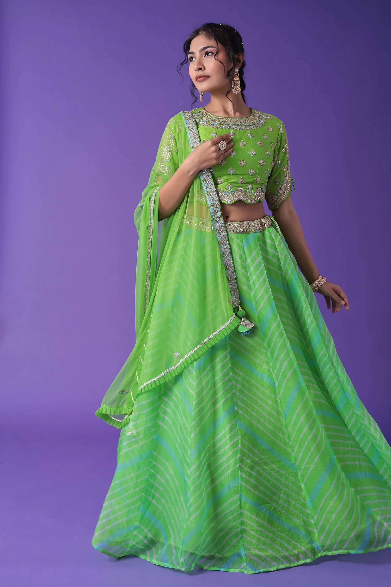 Embroidered Leheriya Organza Lehenga with Dori and Zardozi work - Image 5