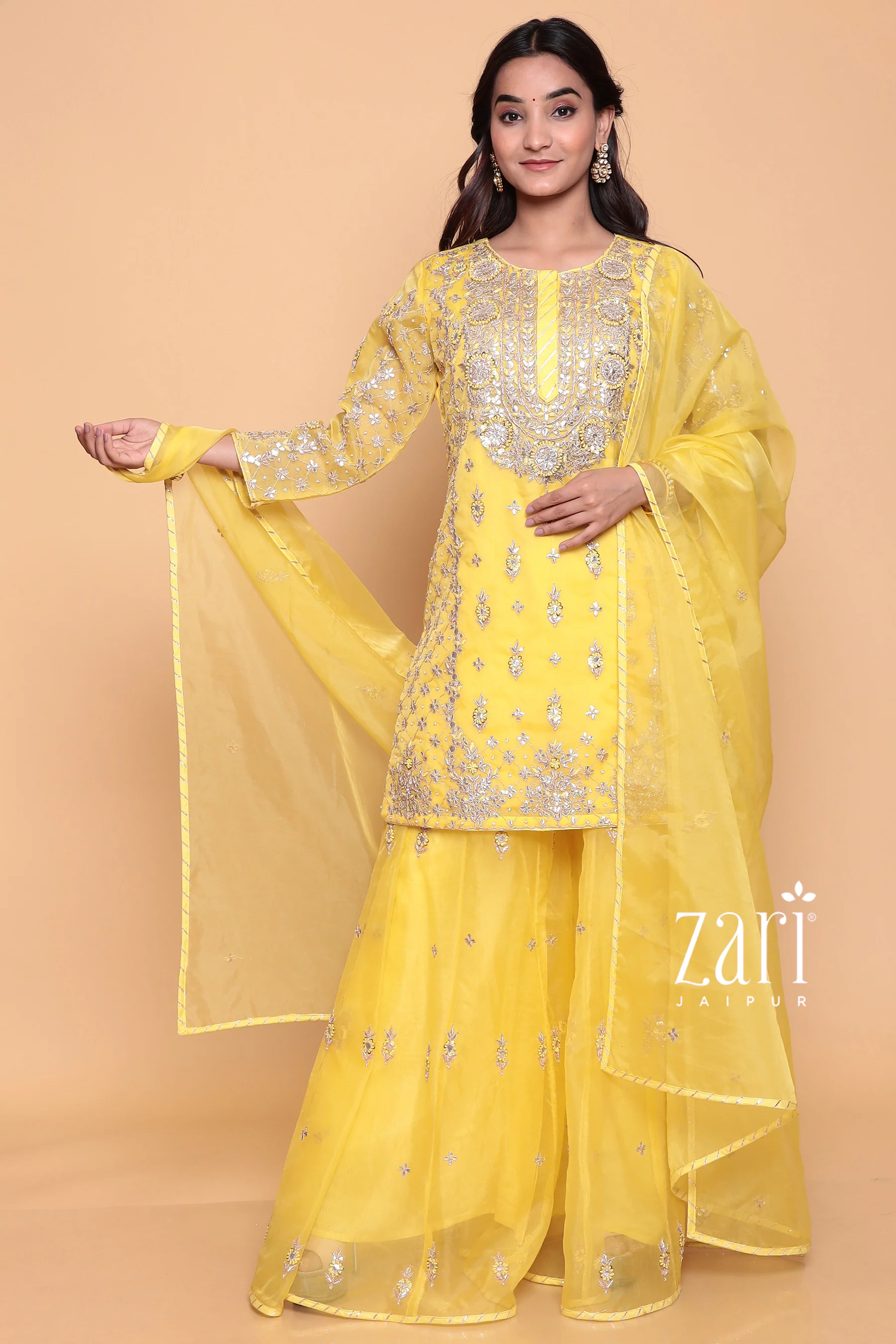 Organza Suit with Dori, Gota, Gota Patti, Sequins, Thread, Zardozi work. - Image 4