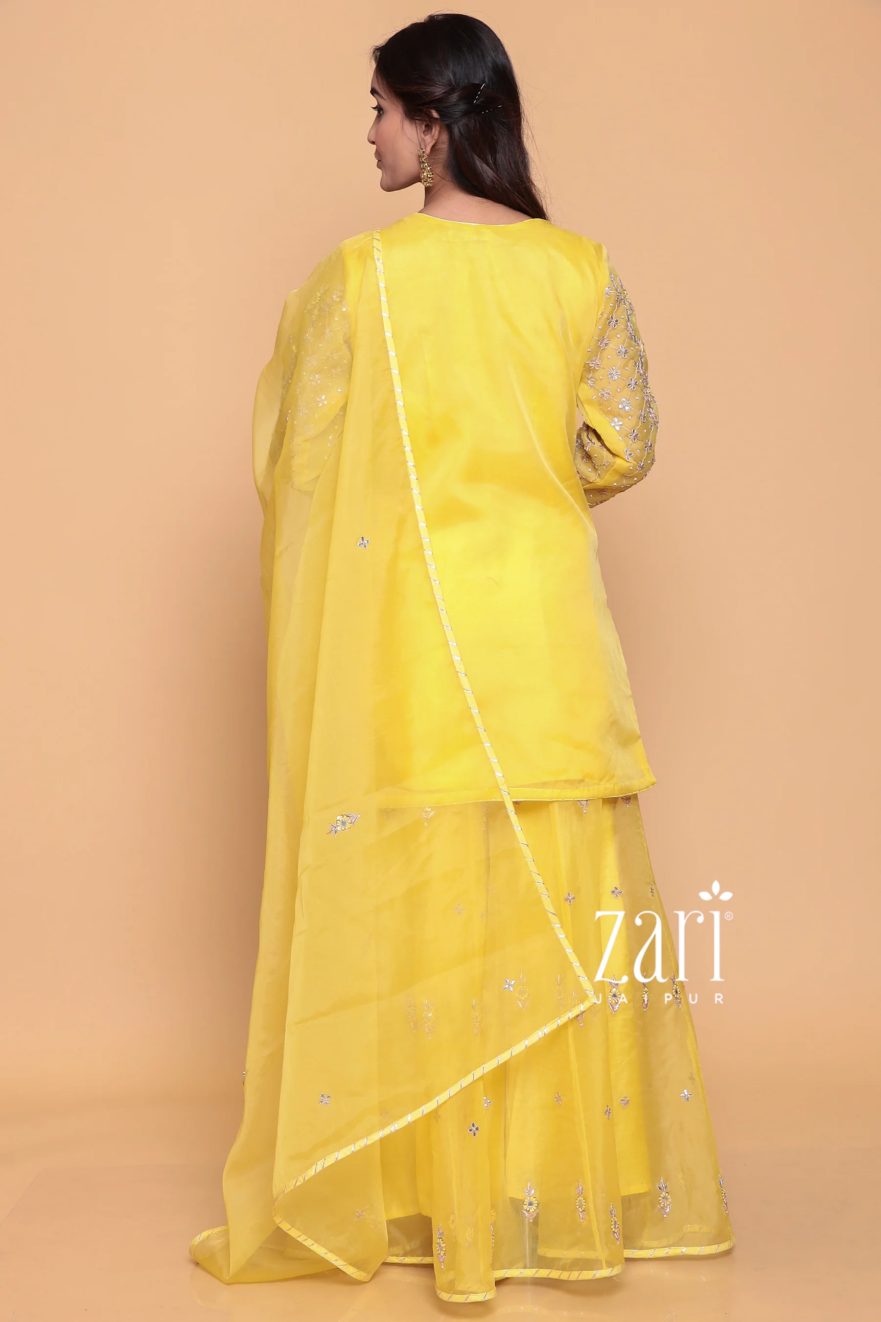 Organza Suit with Dori, Gota, Gota Patti, Sequins, Thread, Zardozi work. - Image 6