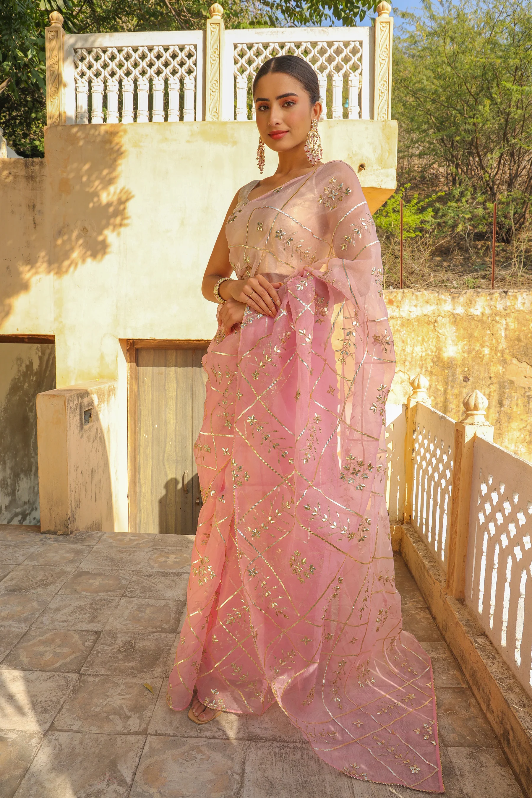 Organza Saree with Gota Patti work.