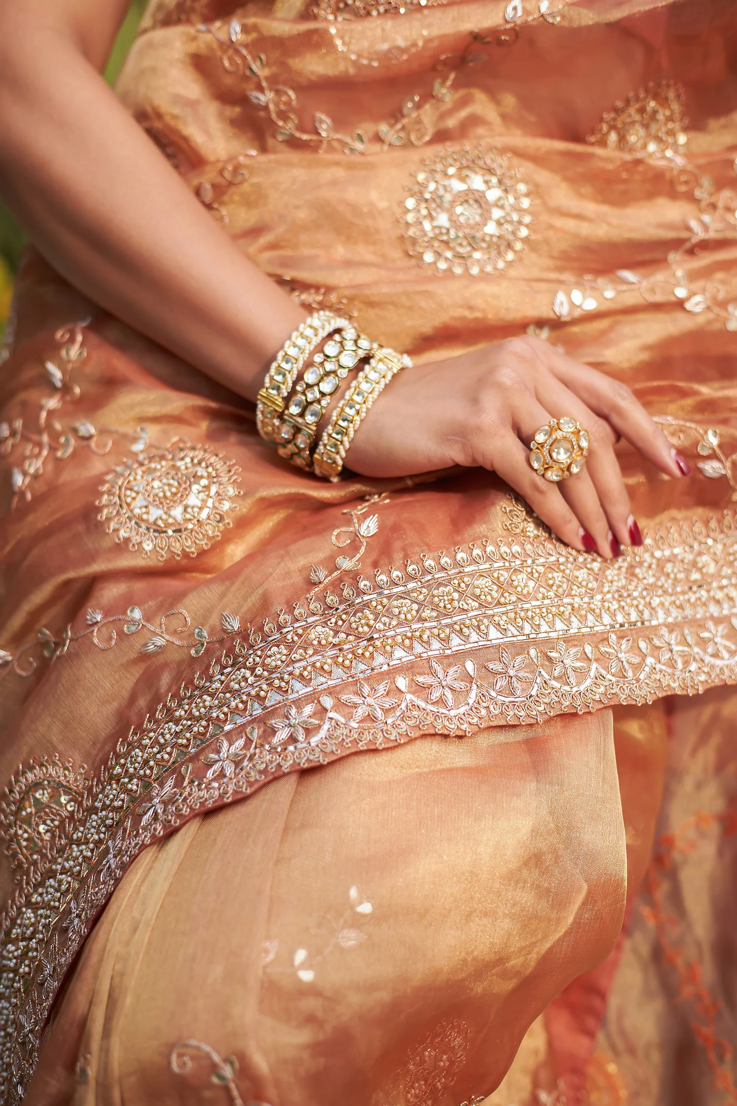 Tissue Saree with Gota Patti and Zardozi work - Image 4