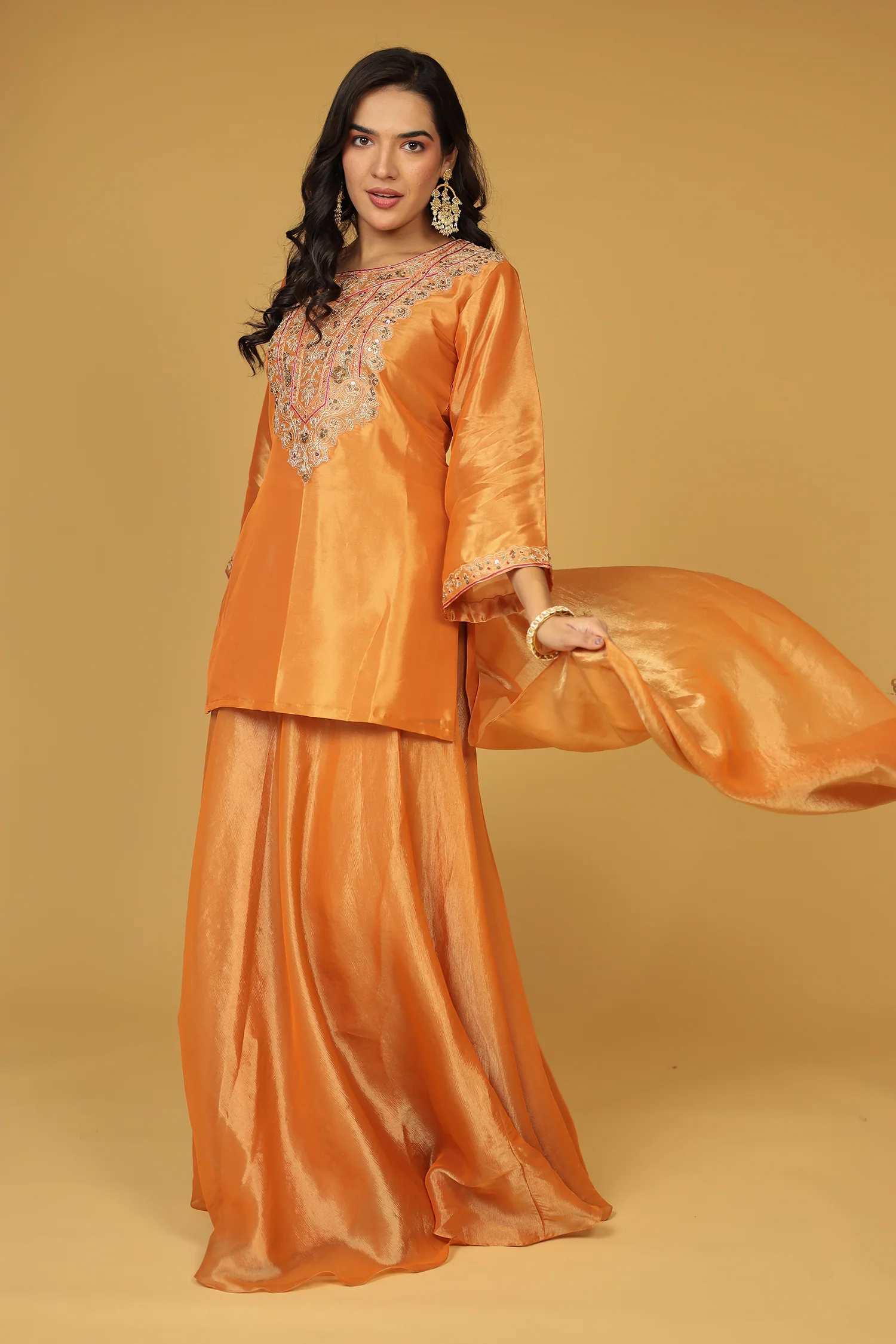 Shimmer Tissue Indo Western (3Pc) with Dori, Sequins and Thread work - Image 12
