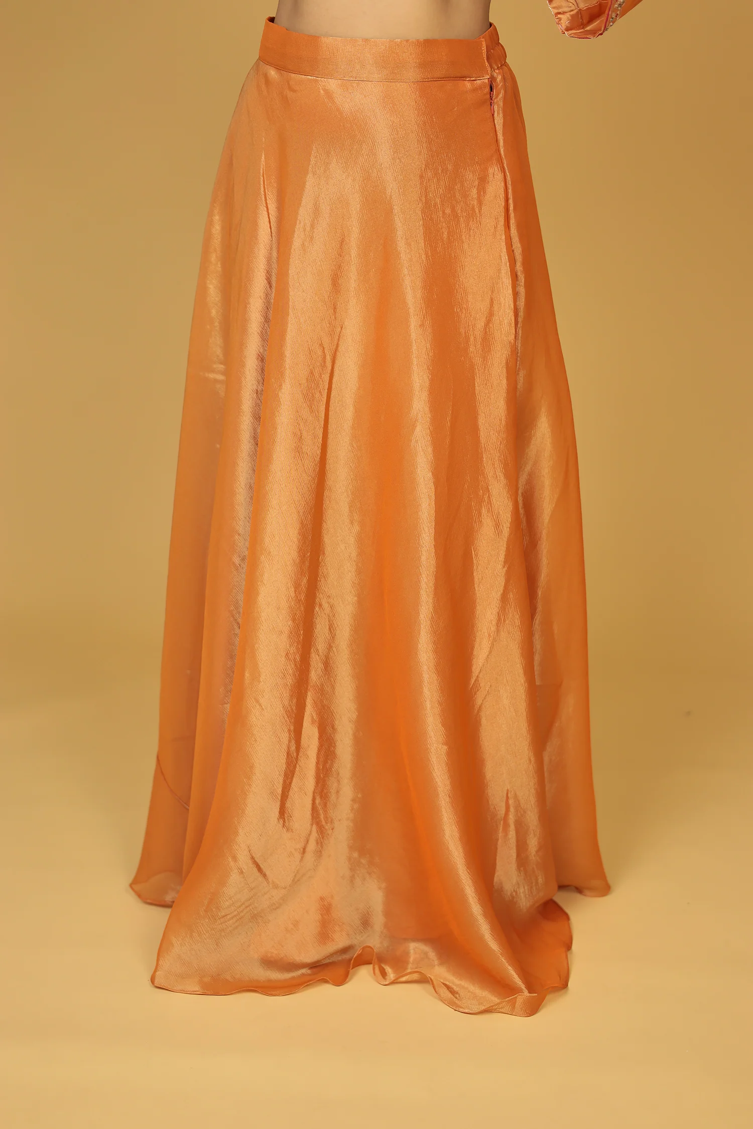 Shimmer Tissue Indo Western (3Pc) with Dori, Sequins and Thread work - Image 13